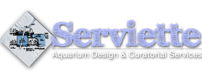 Serviette Group | Aquarium Consultant | Aquarium Designer